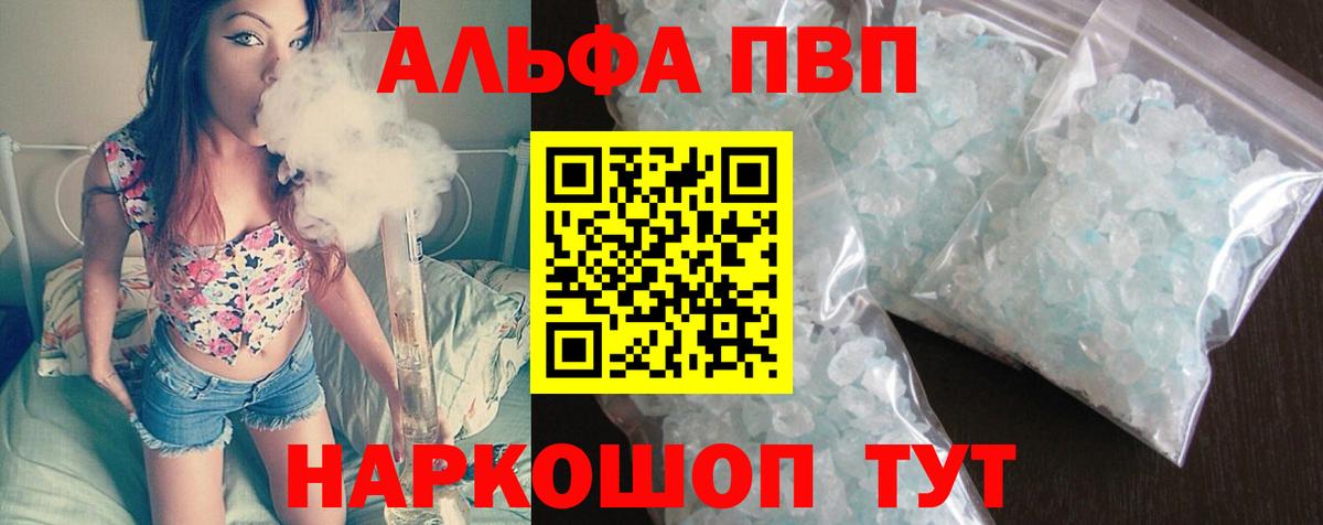 Alfa_PVP СК КРИС Гусев