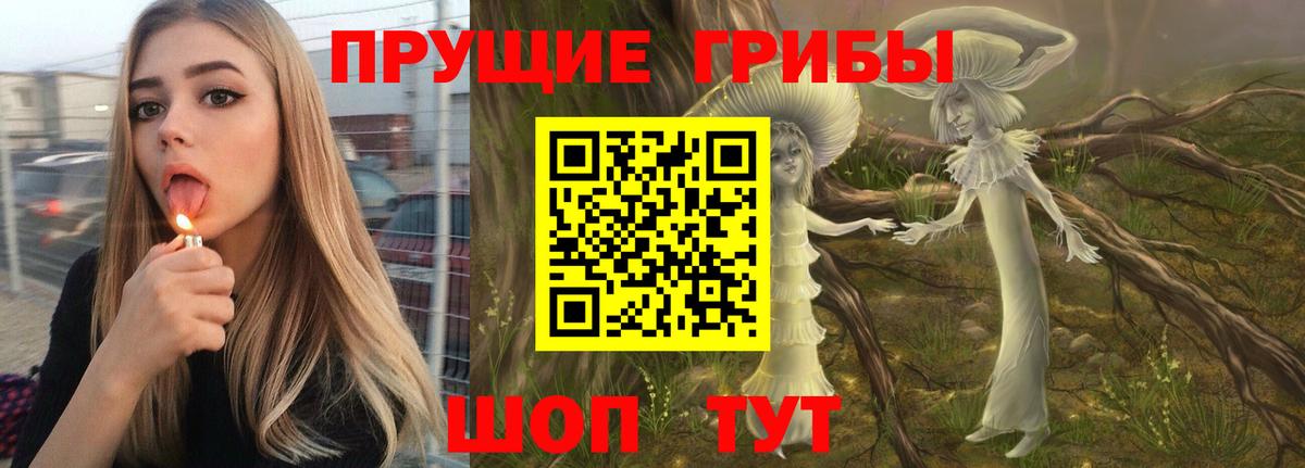 Гусев  Галлюциногенные грибы мухоморы  Вход с VPN  Псилоцибиновые грибы Magic Shrooms 